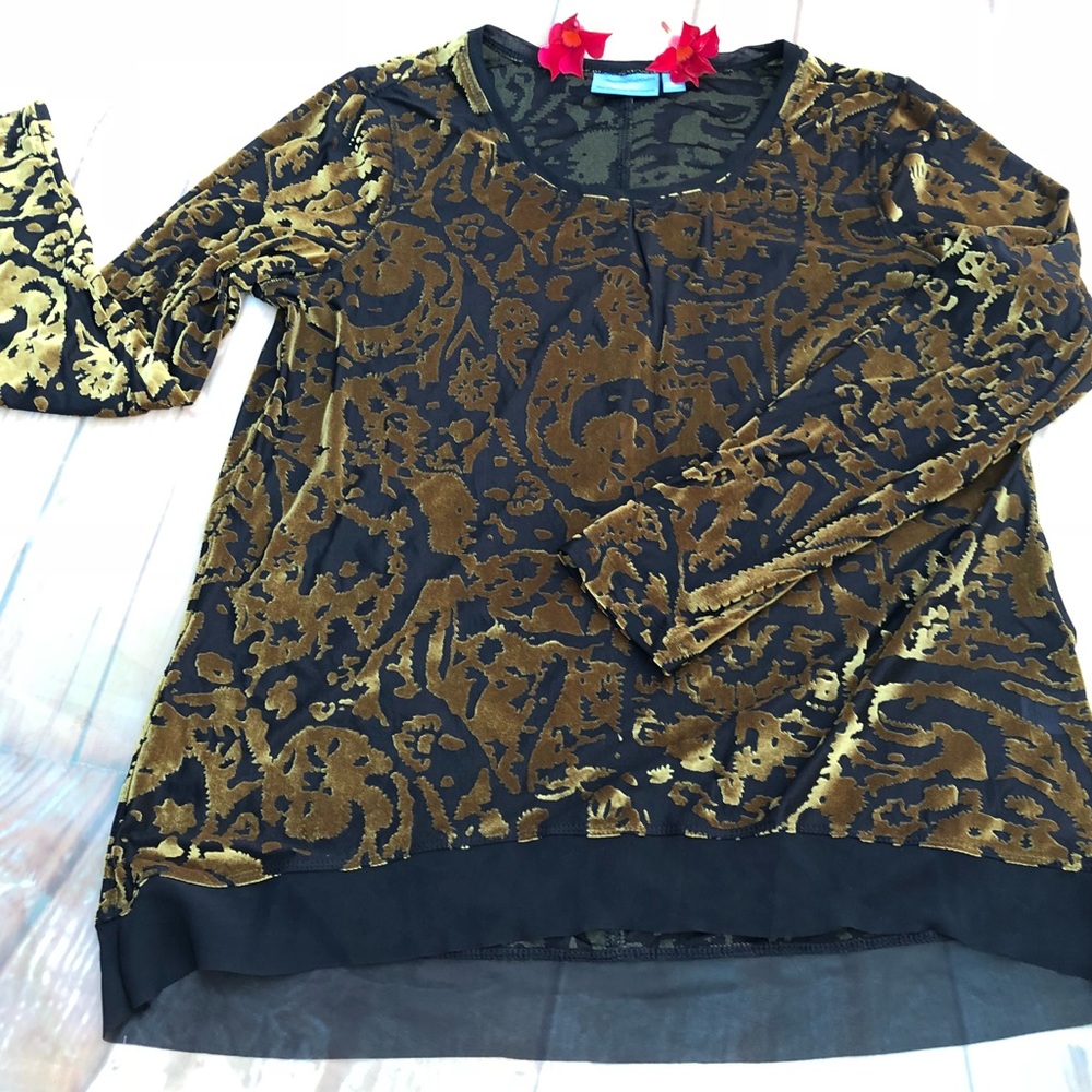 Simply Vera light velvet burnout chiffon blouse